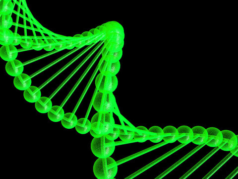 基因在DNA