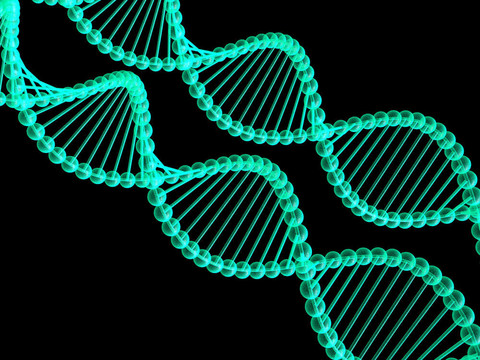 基因在DNA