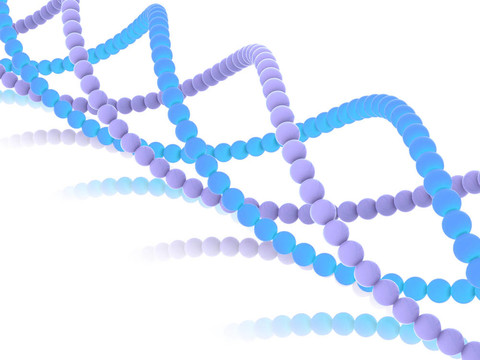 基因在DNA