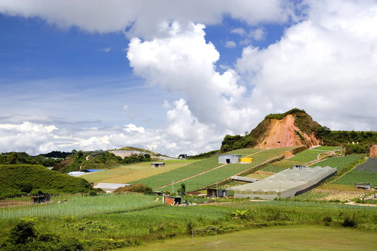 高原蔬菜農(nóng)場