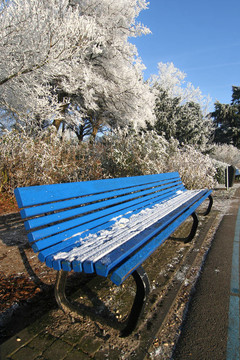 公園里的冬天