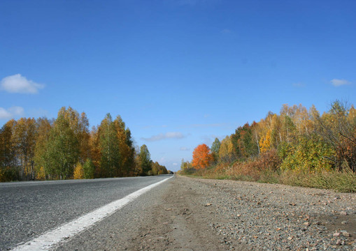 秋天的路上的風(fēng)景