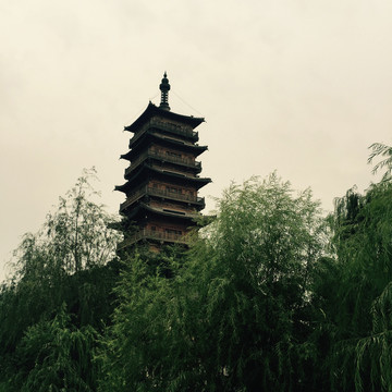 公園 園林