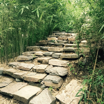 公園一角石板路