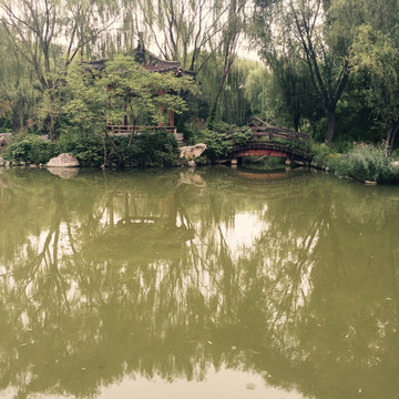 公園一角 亭子
