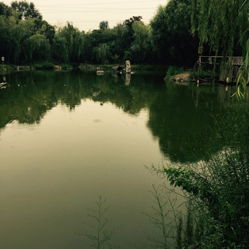 公園一角
