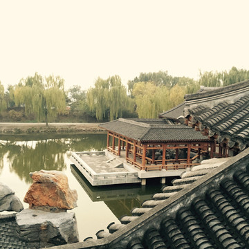 公園 園林