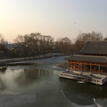 公園 園林