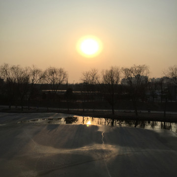 公園 園林