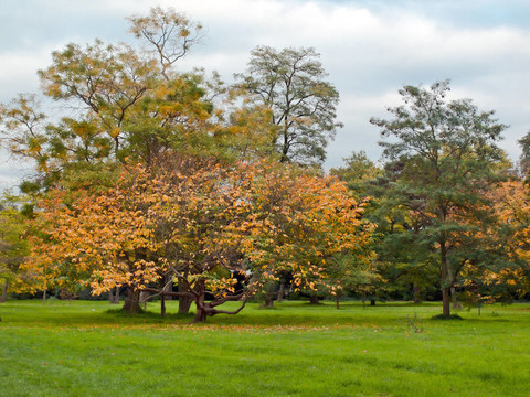 倫敦公園的秋天
