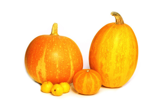 秋季蔬菜
