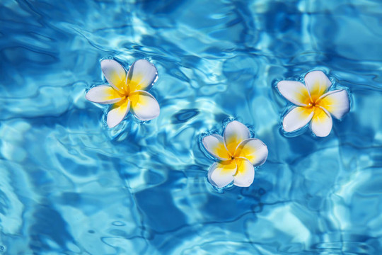 素馨花，水