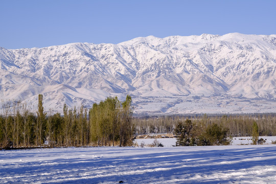 雪景