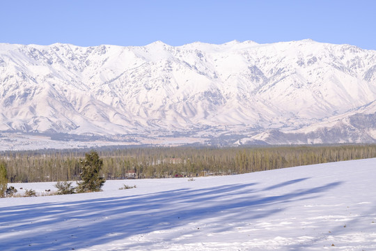 雪景