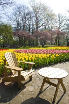 Lisse；荷蘭庫肯霍夫花園；