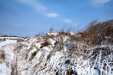 白雪皚皚