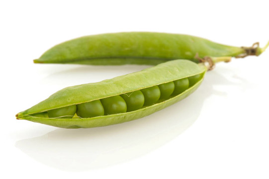 蠶豆