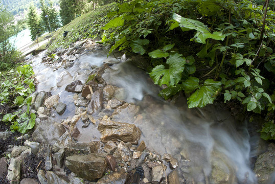 流动的水；Dolomites
