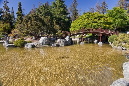 日本式庭園