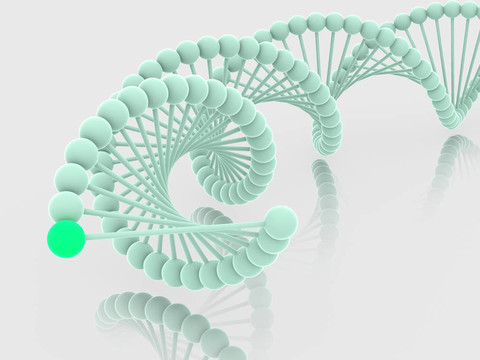 基因在DNA