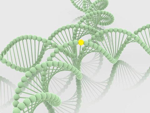 基因在DNA
