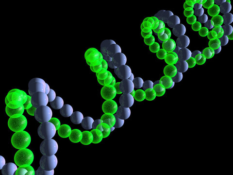 基因在DNA