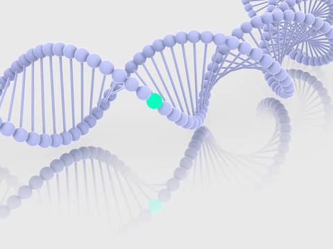 基因在DNA