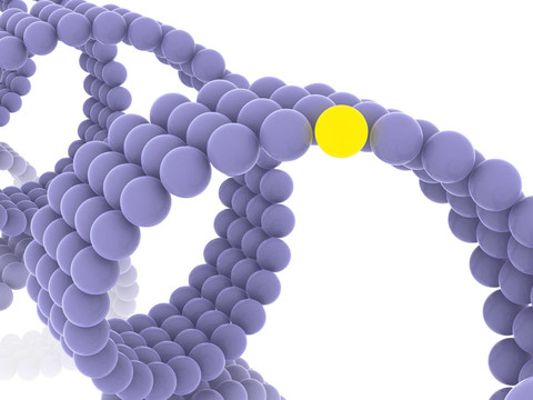 基因在DNA