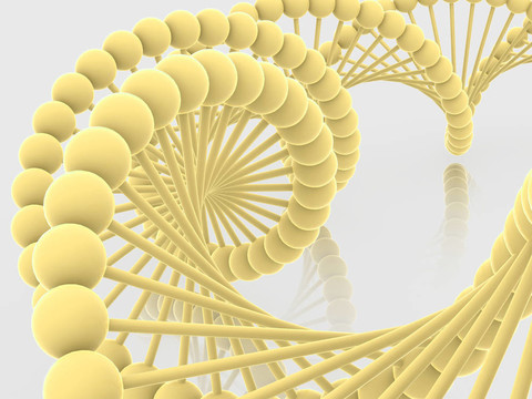 基因在DNA