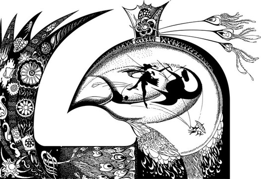 國(guó)王的鳥(niǎo)。