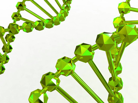 基因在DNA