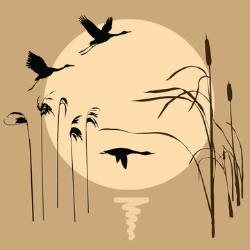 鳥類背景下的鳥畫圖