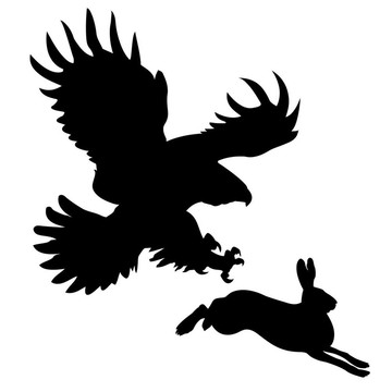 鷙鳥(niǎo)攻擊兔子的剪影