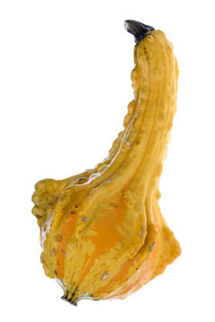 觀賞Gourd分離
