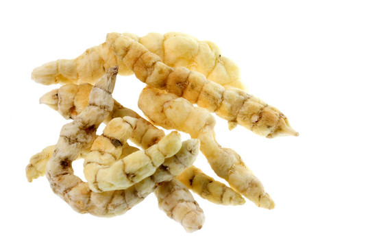 卡特彼勒真菌分離