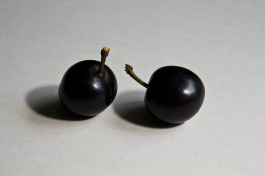 兩個(gè)野生李子