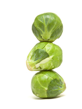 豆芽摘要