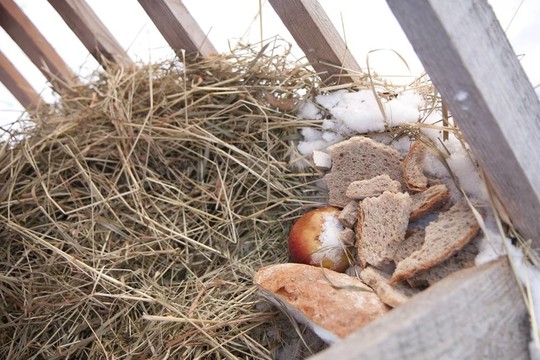 飼料架
