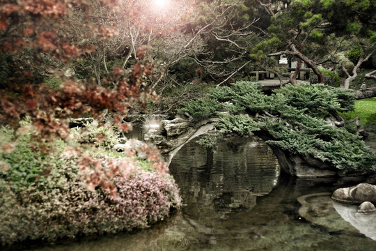 日本庭園與燃燒的太陽