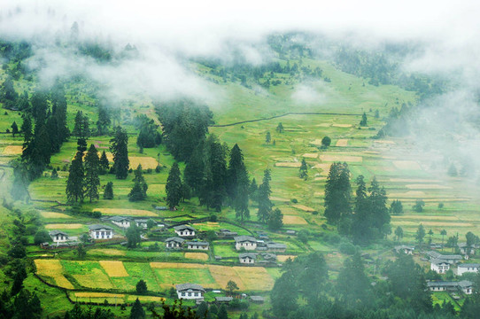 薄霧清晨的山村
