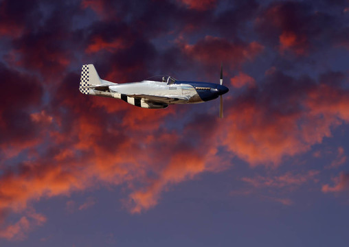 P51野馬