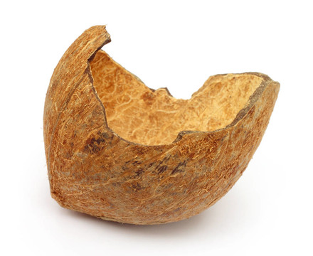 破碎的椰子殼