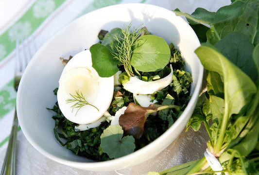 春夏季雜草草本沙拉