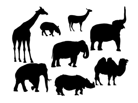 非洲動物