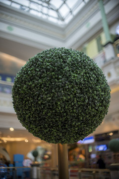 綠色植物球