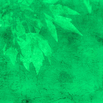 Grunge紋理背景的樹(shù)葉
