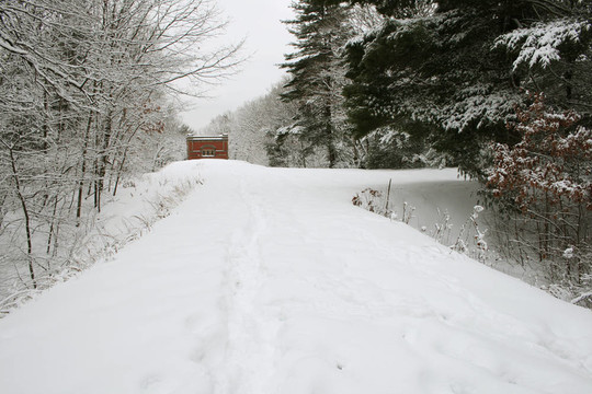 積雪的道路