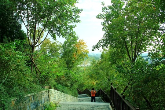 山間石階