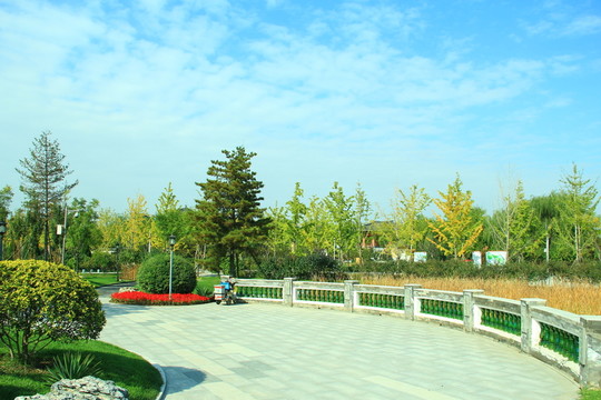 園林景觀