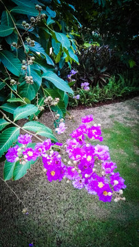 花